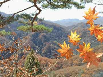 三地和值走势图专业版(带连线)三地专家预测